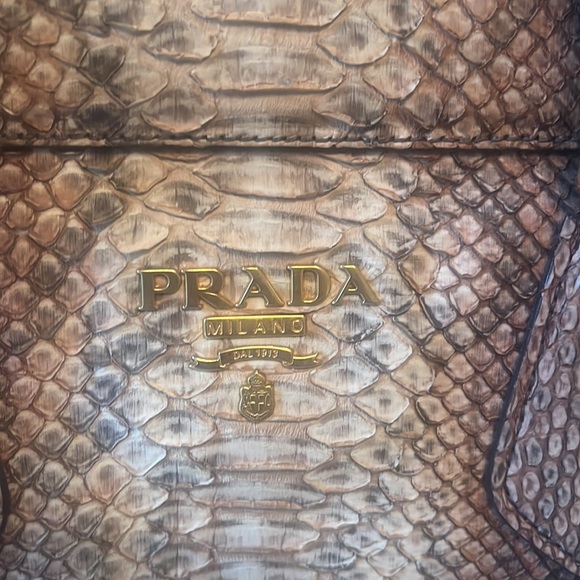 Prada python bag - Picture 3 of 9